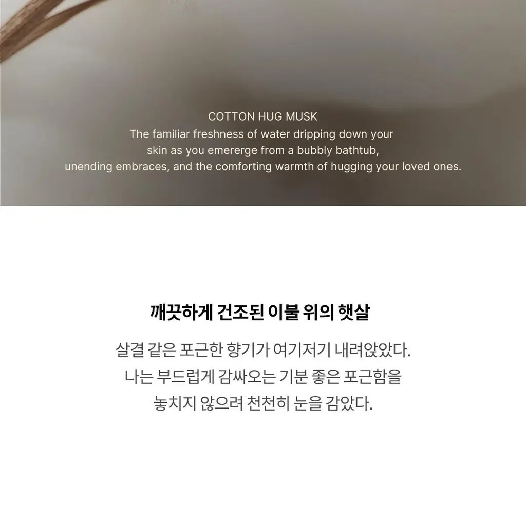 [5월 올영픽/포켓몬 에디션]포맨트 시그니처 퍼퓸 50ml 단품/기획 3종 택 1 상세페이지 29